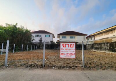 649206126_4360563727548616_3476015605216813761_n